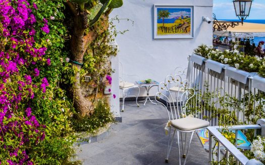 12 consejos para tener un jardín en el balcón de los pisos en Valencia