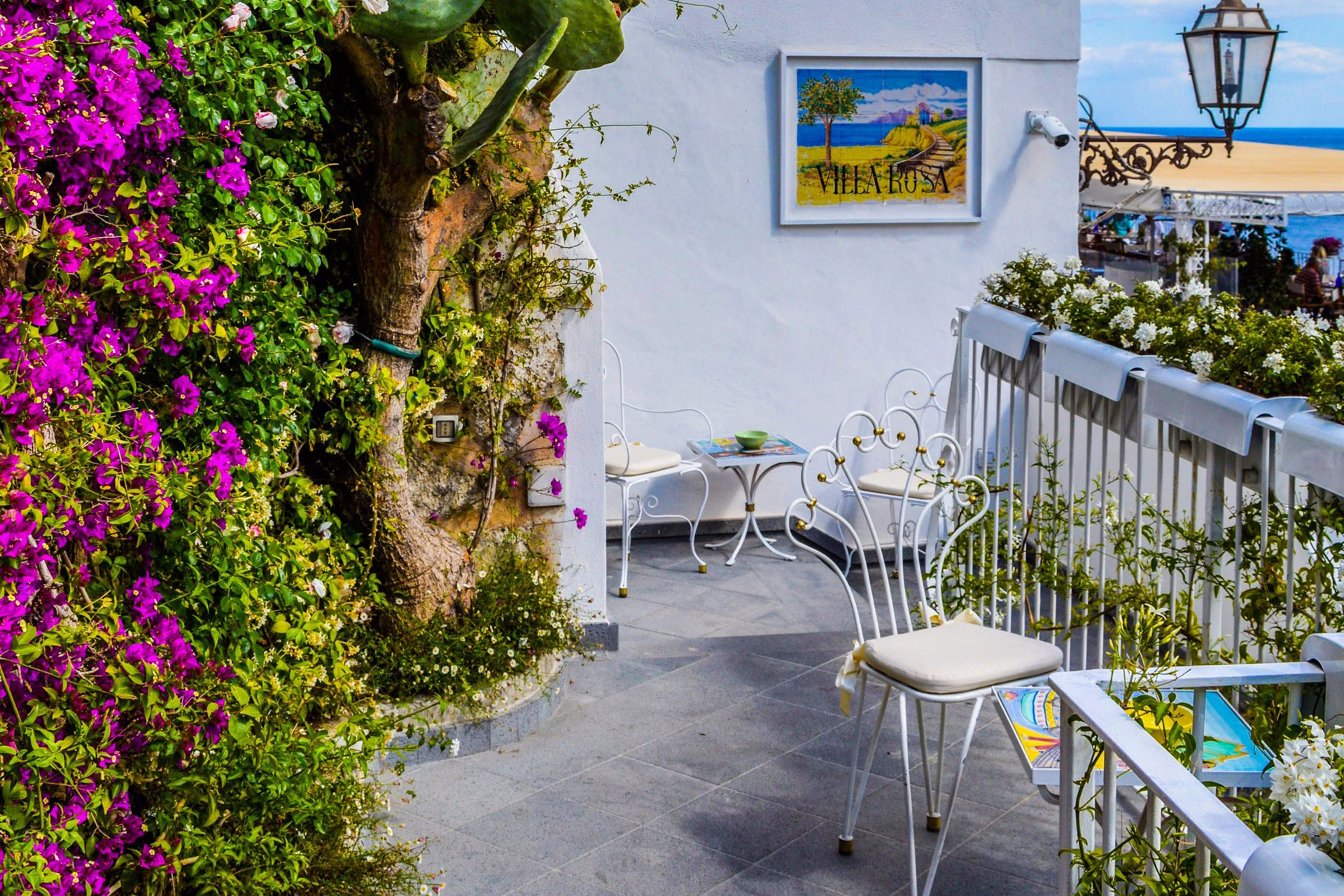 12 consejos para tener un jardín en el balcón de los pisos en Valencia